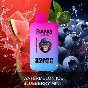 Bang Leader 32000 Puffs