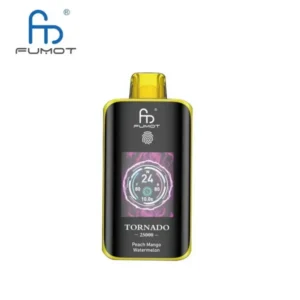 Randm tornado 25000 puffs disposable vape